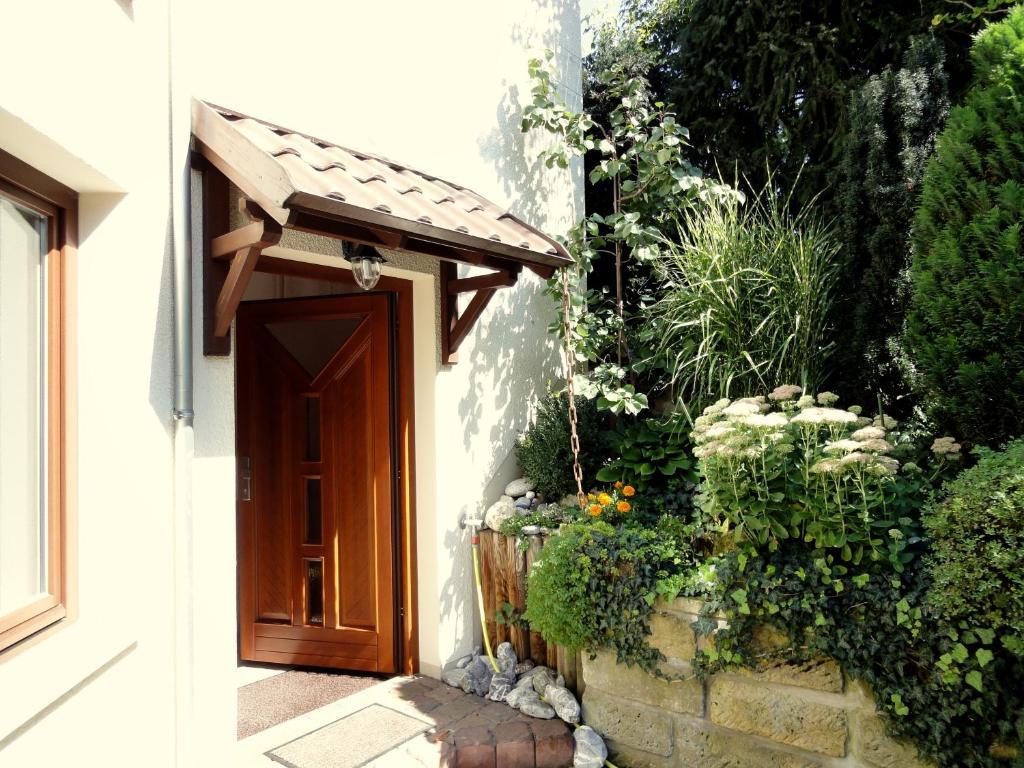 Ferienwohnung Ginkgo ドレスデン エクステリア 写真